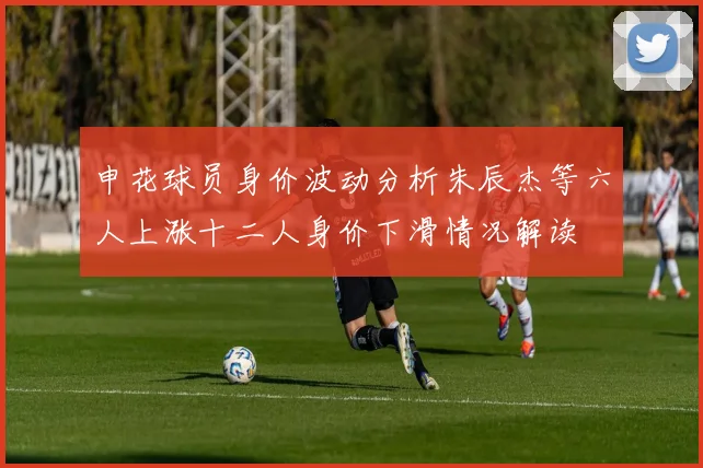 申花球员身价波动分析朱辰杰等六人上涨十二人身价下滑情况解读
