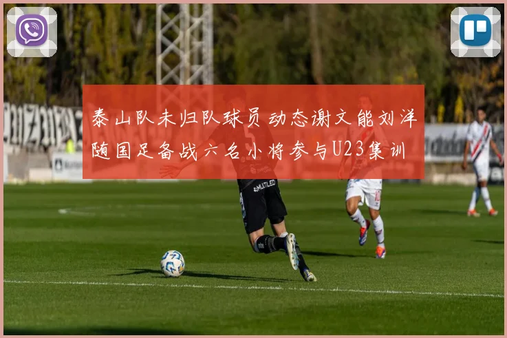 泰山队未归队球员动态谢文能刘洋随国足备战六名小将参与U23集训