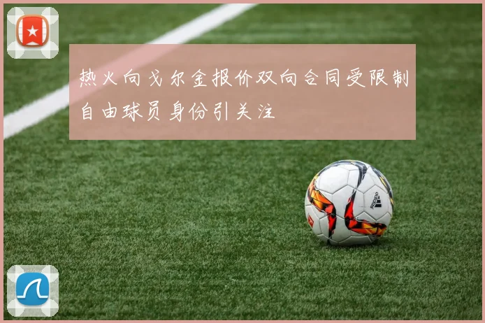 热火向戈尔金报价双向合同受限制自由球员身份引关注