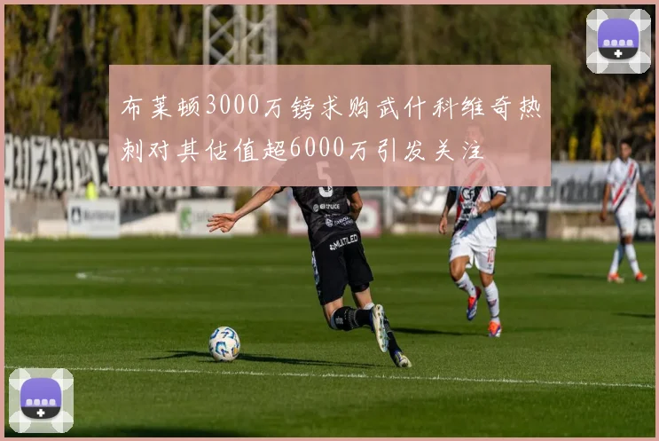 布莱顿3000万镑求购武什科维奇热刺对其估值超6000万引发关注